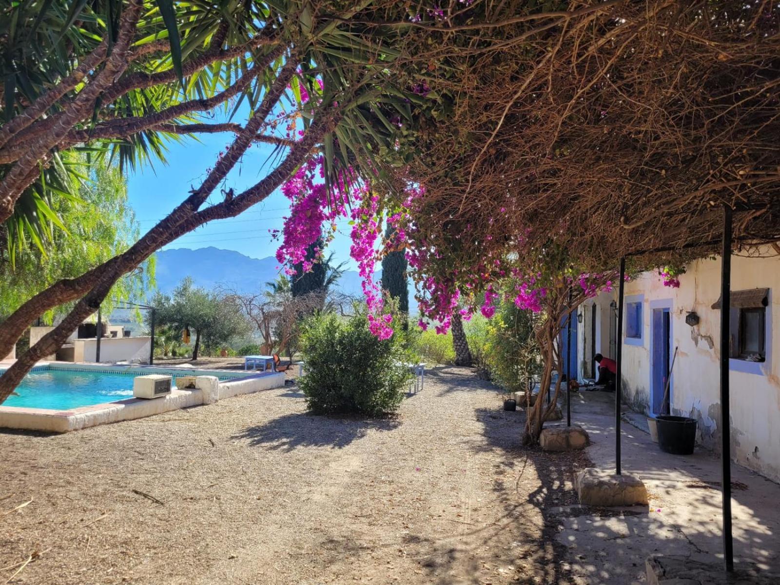 Cortijo Las Gallardas En Almeria Los Gallardos Esterno foto